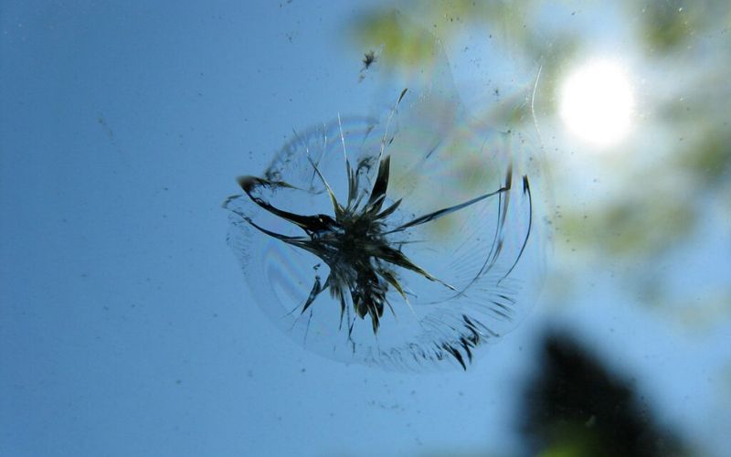 Close view of a windshield chip