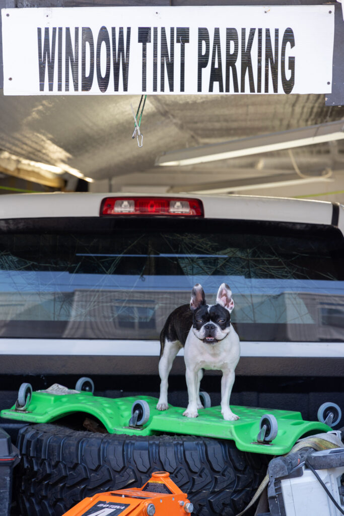 F-150 Windshield Repair